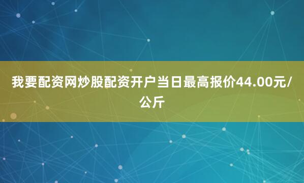 我要配资网炒股配资开户当日最高报价44.00元/公斤