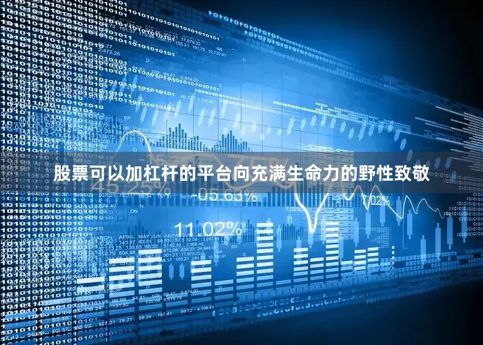 股票可以加杠杆的平台向充满生命力的野性致敬