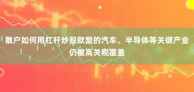 散户如何用杠杆炒股欧盟的汽车、半导体等关键产业仍被高关税覆盖