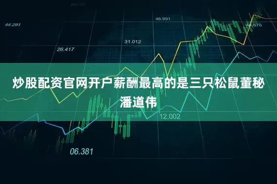 炒股配资官网开户薪酬最高的是三只松鼠董秘潘道伟